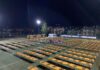 Festa del Vino 2026, a San Martino della Battaglia sei serate di gusto musica e tradizione Festa del Vino a San Martino della Battaglia