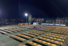 Festa del Vino 2026, a San Martino della Battaglia sei serate di gusto musica e tradizione Festa del Vino a San Martino della Battaglia