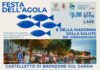 Locandina della Festa dell'Agola a Castelletto di Brenzone