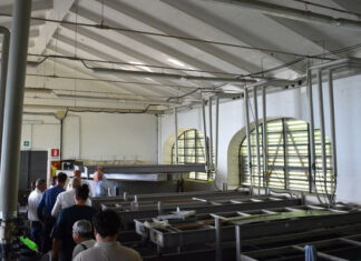 Bardolino Incubatoio