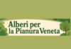 Alberi in Pianura, il Comune di Bardolino aderisce all’iniziativa regionale Alberi in Pianura, il Comune di Bardolino aderisce all’iniziativa regionale