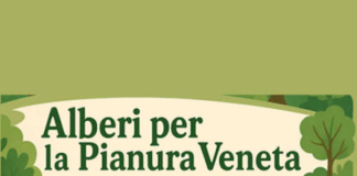 Alberi in Pianura, il Comune di Bardolino aderisce all’iniziativa regionale