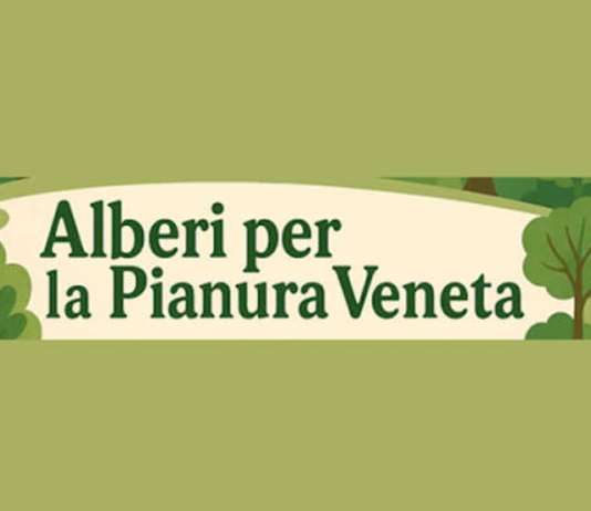 Alberi in Pianura, il Comune di Bardolino aderisce all’iniziativa regionale