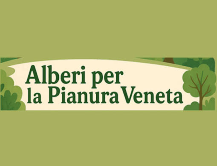 Alberi in Pianura, il Comune di Bardolino aderisce all’iniziativa regionale