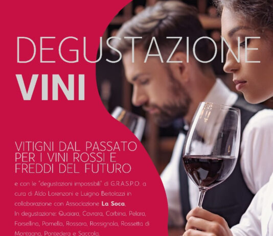 Immagine di Bando Distretti del Commercio 2026, incontro per le imprese di Bardolino