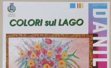 Immagine di “Colori sul Lago”, a Moniga la personale di Danilo Rossi