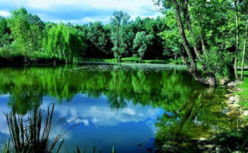 Giornata del Paesaggio a Castiglione delle Stiviere il 6 settembre Giornata del Paesaggio a Castiglione delle Stiviere il 6 settembre