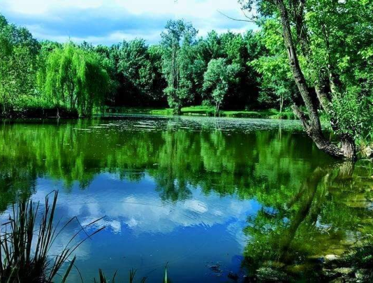 Giornata del Paesaggio a Castiglione delle Stiviere il 6 settembre