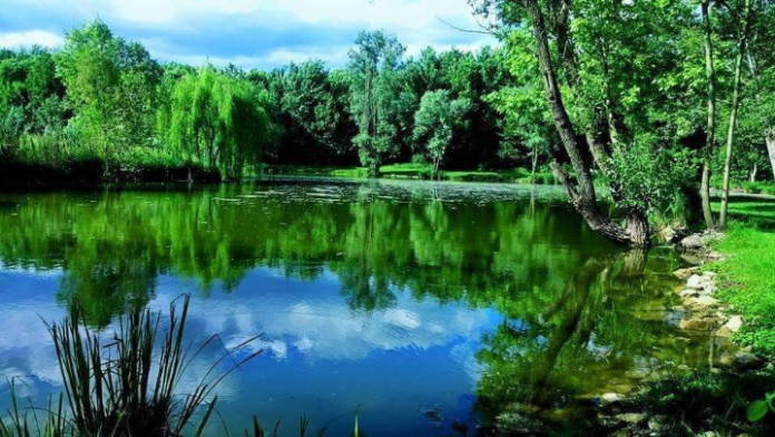 Giornata del Paesaggio a Castiglione delle Stiviere il 6 settembre