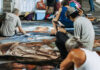 Fiera delle Grazie 2026, quattro giorni e due notti per i Madonnari Madonnari al lavoro a Grazie di Curtatone