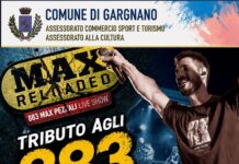 Immagine di Max Reloaded porta a Navazzo il tributo agli 883