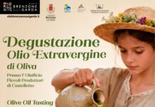 Immagine di Degustazione olio extravergine all'Oleificio Piccoli Produttori di Castelletto