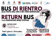 Immagine di Festa dell'Uva e del Vino di Bardolino, bus di rientro notturni dal 1 al 3 ottobre