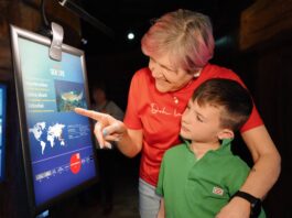 Gardaland Festa dei Nonni a Castelnuovo del Garda: il 4 ottobre attività speciali al SEA LIFE Aquarium Immagine di Gardaland Festa dei Nonni a Castelnuovo del Garda: il 4 ottobre attività speciali al SEA LIFE Aquarium