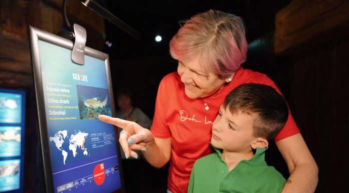 Immagine di Gardaland Festa dei Nonni a Castelnuovo del Garda: il 4 ottobre attività speciali al SEA LIFE Aquarium