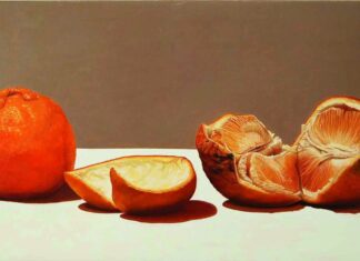 Cuore di arancio, opera di Patrizia Rota