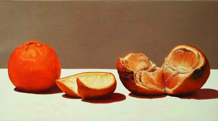 La misura della meraviglia: mostra di Patrizia Rota a Desenzano Cuore di arancio, opera di Patrizia Rota