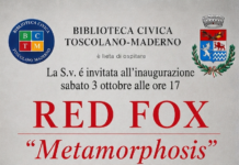 Immagine di Red Fox espone a Toscolano-Maderno, opera donata al Vittoriale di Gardone