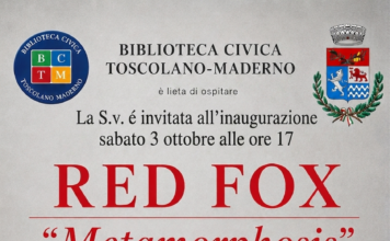 Immagine di Red Fox espone a Toscolano-Maderno, opera donata al Vittoriale di Gardone