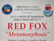 Immagine di Red Fox espone a Toscolano-Maderno, opera donata al Vittoriale di Gardone