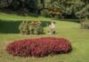 Sabato d’Artista al Parco Giardino Sigurtà di Valeggio sul Mincio: ultimi 10 posti per il 17 ottobre Un pittore al lavoro nel Parco Giardino Sigurtà durante Sabato d'Artista