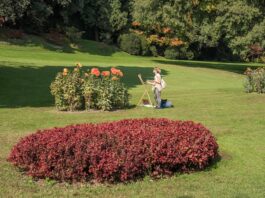 Sabato d’Artista al Parco Giardino Sigurtà di Valeggio sul Mincio: ultimi 10 posti per il 17 ottobre Un pittore al lavoro nel Parco Giardino Sigurtà durante Sabato d'Artista