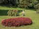 Un pittore al lavoro nel Parco Giardino Sigurtà durante Sabato d'Artista