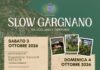 Slow Gargnano: due giorni tra olio, vino e territorio del Benaco Immagine di Slow Gargnano: due giorni tra olio, vino e territorio del Benaco