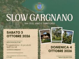 Immagine di Slow Gargnano: due giorni tra olio, vino e territorio del Benaco