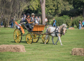 Immagine di Viaggio nel Tempo al Parco Giardino Sigurtà di Valeggio sul Mincio domenica 20 settembre