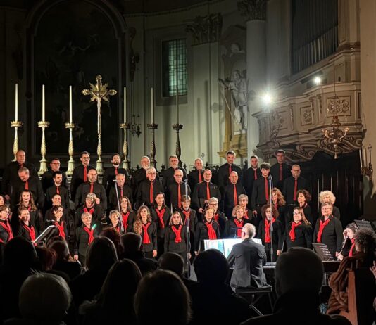 Immagine di A Lonato del Garda domenica 4 ottobre il recital Francesco d'Assisi
