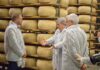 Forme di Grana Padano in stagionatura alla Gardalatte di Lonato del Garda