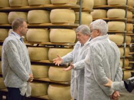 Festival mondiale delle DOP a Desenzano del Garda a marzo 2027 Forme di Grana Padano in stagionatura alla Gardalatte di Lonato del Garda