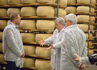 Forme di Grana Padano in stagionatura alla Gardalatte di Lonato del Garda