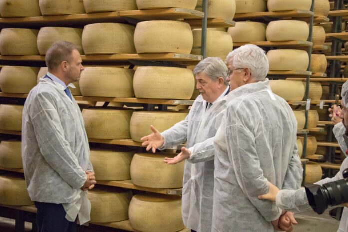 Forme di Grana Padano in stagionatura alla Gardalatte di Lonato del Garda