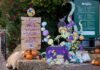 Allestimento con streghe e zucche del percorso-game Il Sigillo Spezzato al Parco Giardino Sigurtà
