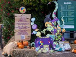 Il Sigillo Spezzato al Parco Giardino Sigurtà: percorso-game per bambini a Valeggio sul Mincio Allestimento con streghe e zucche del percorso-game Il Sigillo Spezzato al Parco Giardino Sigurtà