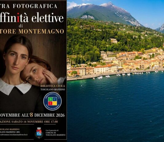 Manifesto delle affinità elettive mostra paesaggio lacustre con città e montagne