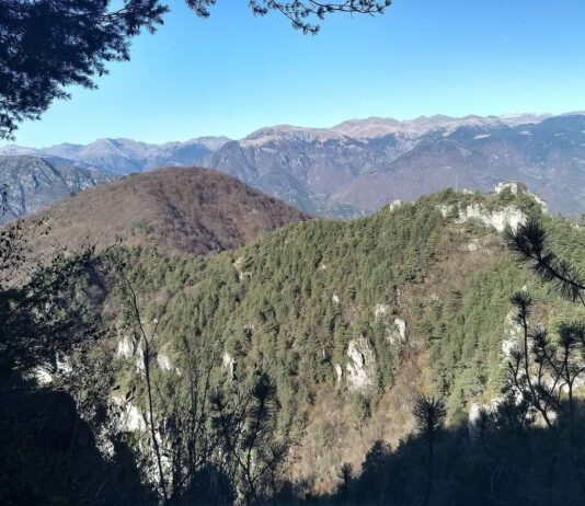 La vetta rocciosa del monte Cingolo Rosso sopra i boschi della Valvestino