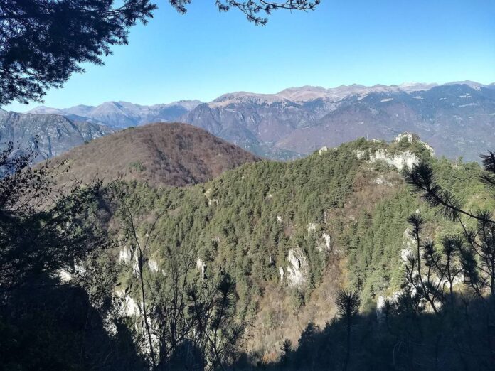 La vetta rocciosa del monte Cingolo Rosso sopra i boschi della Valvestino
