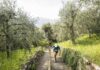 Immagine di PEAK LAKE GARDA 42: tre side events tra Malcesine, Limone e Arco dal 9 all'11 aprile 2027