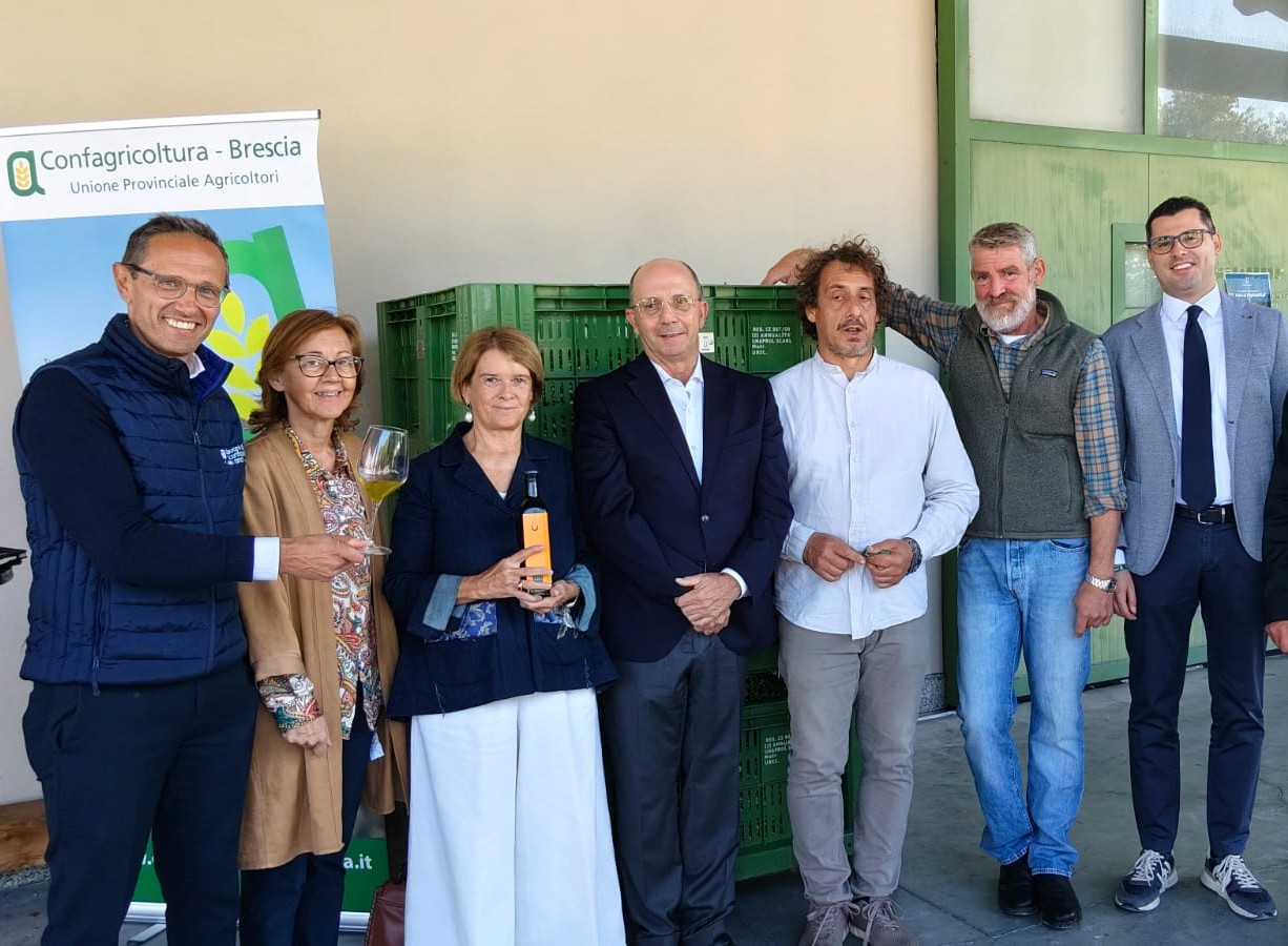 Persone davanti a cesti con olive e foglie nel frantoio di San Felice del Benaco