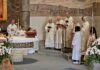 Immagine di Sirmione celebra gli 800 anni di San Francesco tra messa solenne e spettacolo