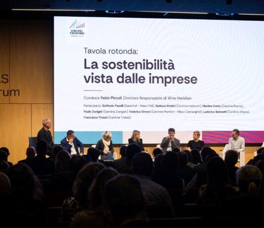 Immagine di Trento, il Consorzio Vini del Trentino trasforma il bilancio di sostenibilità in piano d'azione