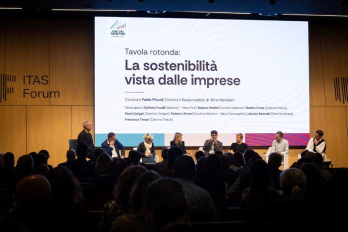 Immagine di Trento, il Consorzio Vini del Trentino trasforma il bilancio di sostenibilità in piano d'azione